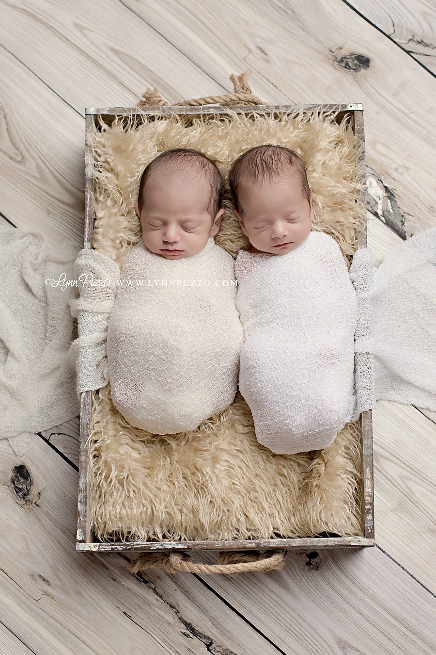 wethersfield_connecticut_twins_newborn_photographer