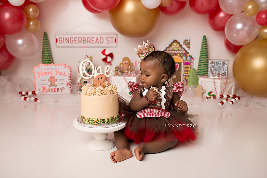 lynn puzzo photography, reviews, love, raves, kind words, buzz, gingerbread cake smash, cake smash photographer, atlanta cake smash photographer