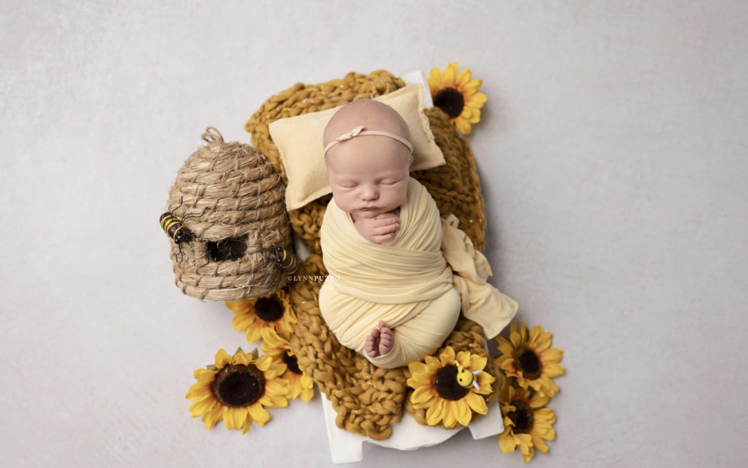 Sunflower Newborn Session | Cecilia