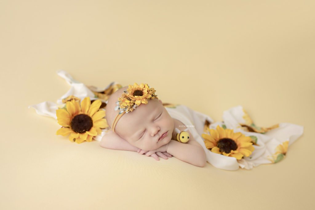 Sunflower Newborn Session