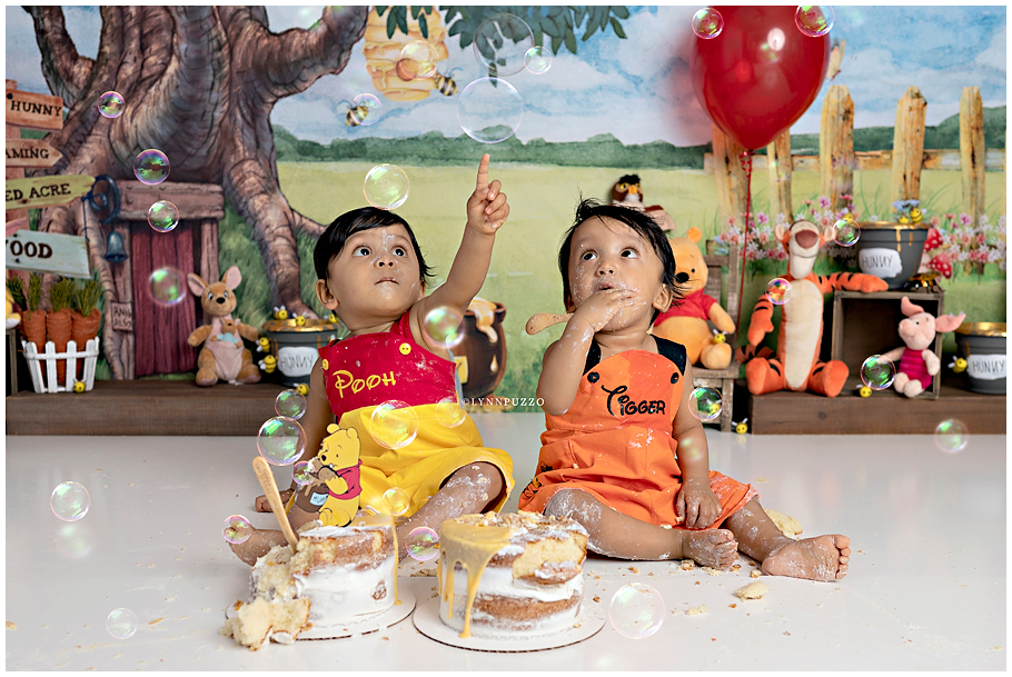 Pooh & Tigger Twin Cake Smash